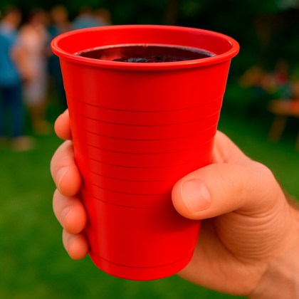 11385/Party8