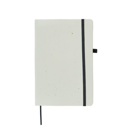 13000/Yang2