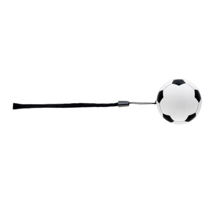 13041/Goal8
