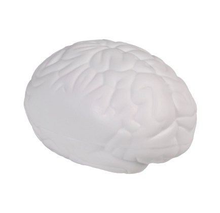 13268/Cerebro2