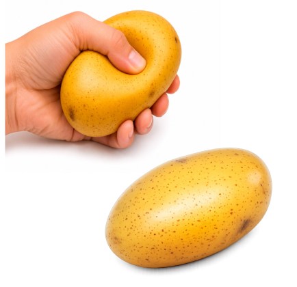13281/Potato1
