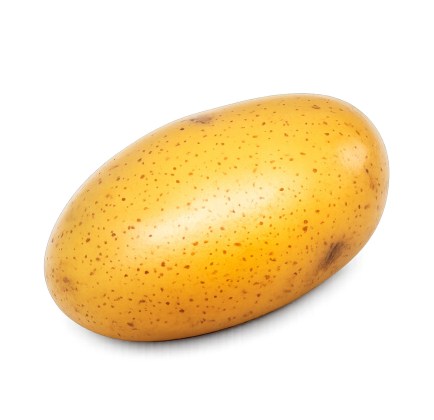13281/Potato2