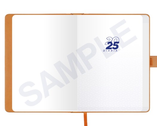 AD2025_AGENDA_DIARIA_2025_04