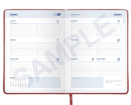 ASP2025_AGENDA_SEMANAL_PREMIUM_2025_11